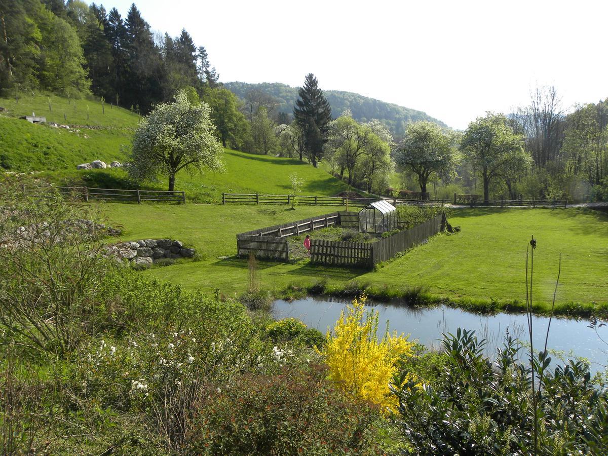 Zeidelhof Villa Lilienfeld Buitenkant foto